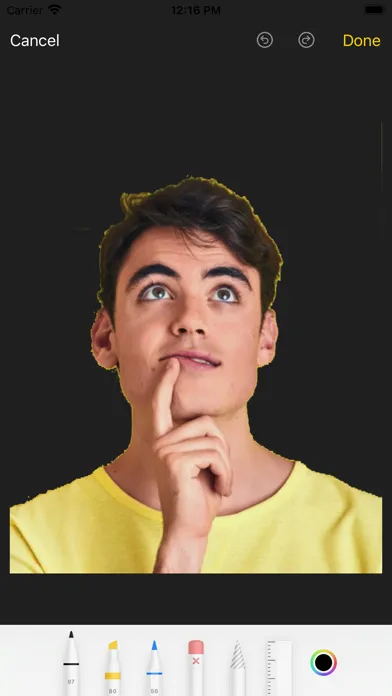 Cartoon Yourself - Cartoonize Screenshots