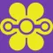 iBoard LifePath