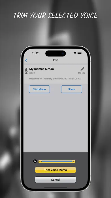Voice Recorder-Voice Memos App应用截图