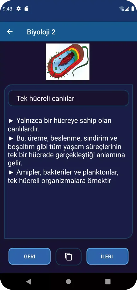 AÖL - Açık Lise Soru應用截圖