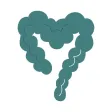 Belly Balance | IBS treatment Belly Balance | IBS treatment