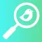 Bird Identification by Color - Ornithology Guide for Northeastern U.S. Bird Watching + Bird Sounds/Songs