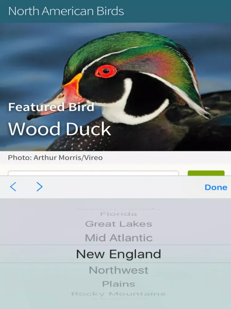 Bird Identification by Color - Ornithology Guide for Northeastern U.S. Bird Watching + Bird Sounds/Songs iPad  Screenshots