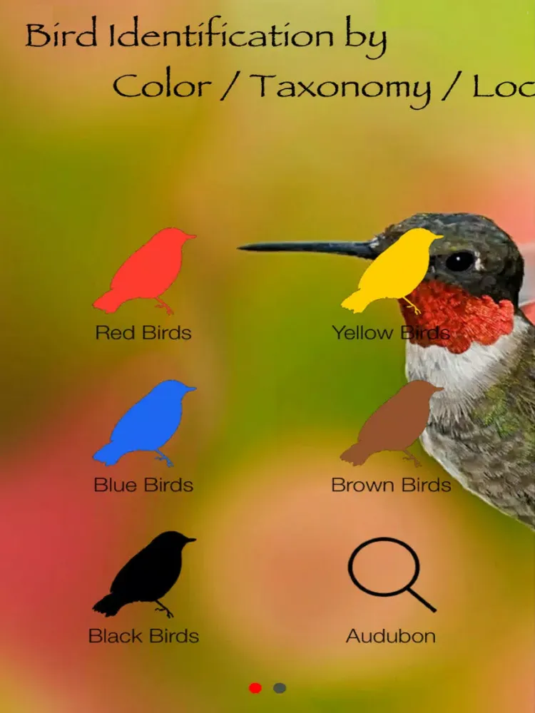 Bird Identification by Color - Ornithology Guide for Northeastern U.S. Bird Watching + Bird Sounds/Songs iPad  Screenshots