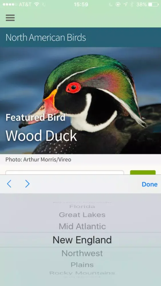 Bird Identification by Color - Ornithology Guide for Northeastern U.S. Bird Watching + Bird Sounds/Songs Screenshots