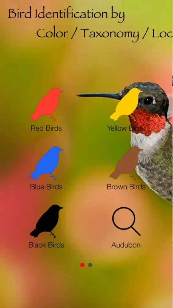 Bird Identification by Color - Ornithology Guide for Northeastern U.S. Bird Watching + Bird Sounds/Songs Screenshots