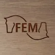 FEM App