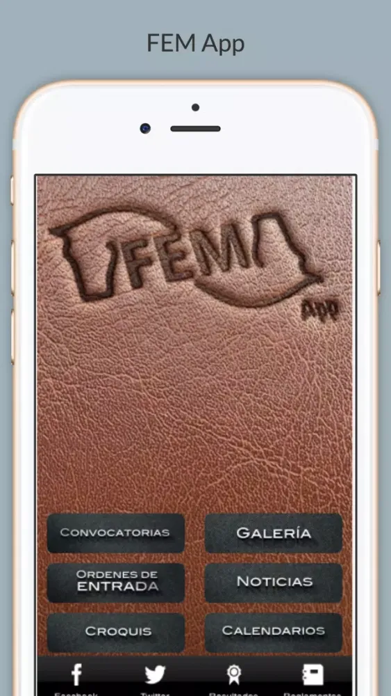 FEM App Screenshots