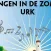 ZiZo App