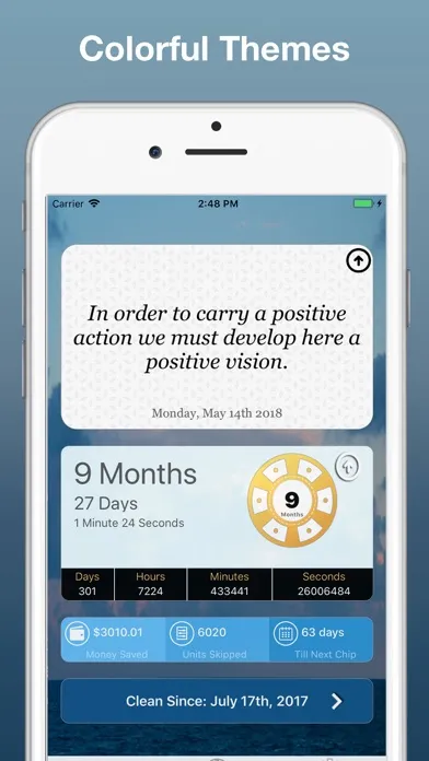 Capturas de tela do Clean Today -  Drug Free Life