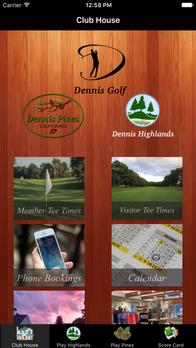 Screenshot di Dennis Golf