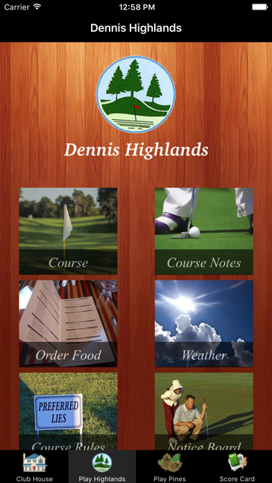 Screenshot di Dennis Golf