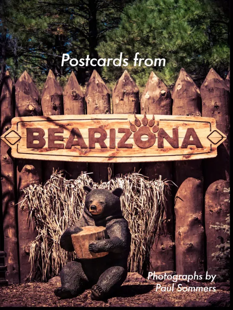 Postcards from Bearizona iPad  Screenshots