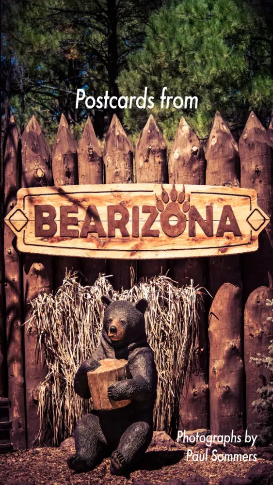 Postcards from Bearizona Screenshots
