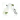 iSport Cam