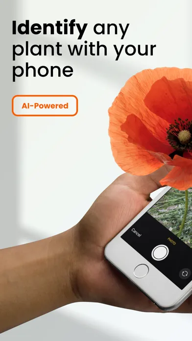 PlantLens: AI Plant Identifier应用截图