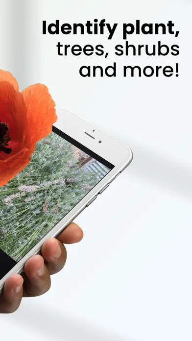 PlantLens: AI Plant Identifier应用截图