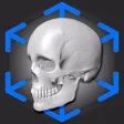 AR Anatomy: Skeleton AR Anatomy: Skeleton