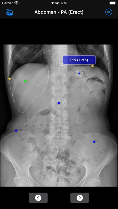 Xray Anatomy Screenshots