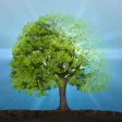 Idle Plant 3D