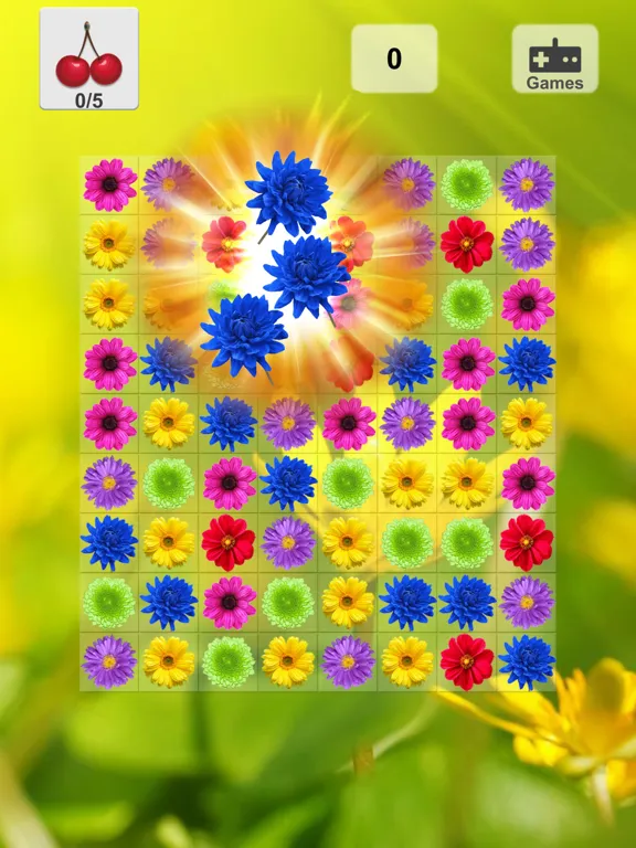 Flower Valley: Blossom Garden iPad 应用截图
