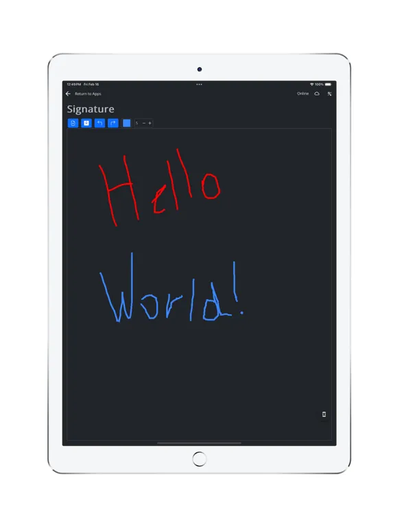 ภาพหน้าจอของ Wisej.NET Hybrid iPad 
