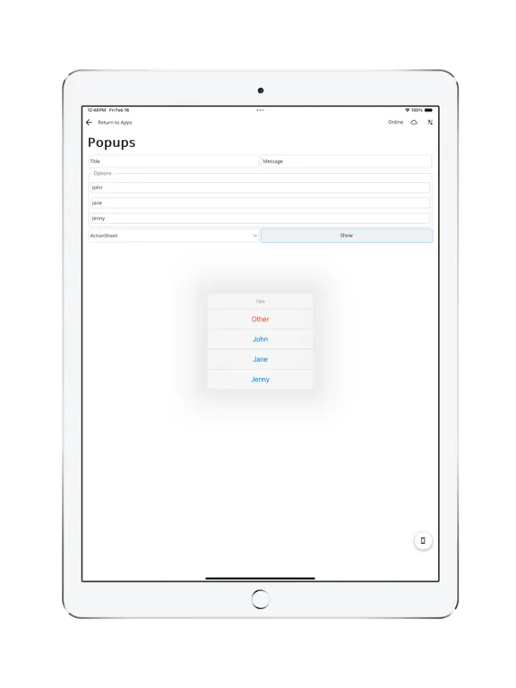 ภาพหน้าจอของ Wisej.NET Hybrid iPad 