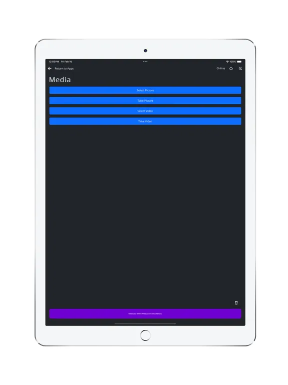 ภาพหน้าจอของ Wisej.NET Hybrid iPad 