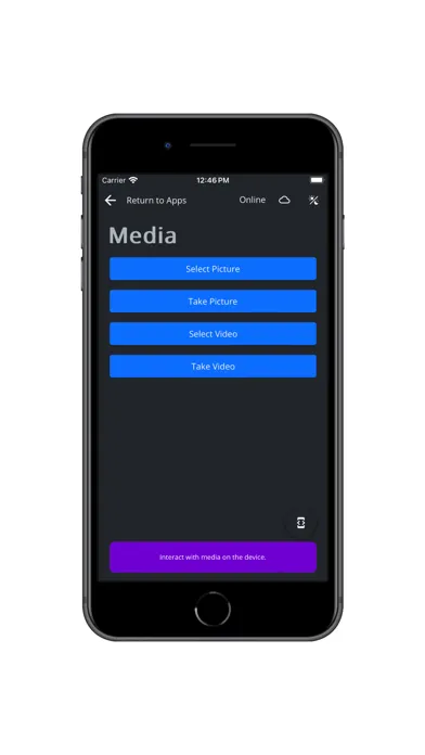 ภาพหน้าจอของ Wisej.NET Hybrid