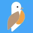 Round Robin Tennis Combinator