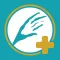 Kinesiology Plus