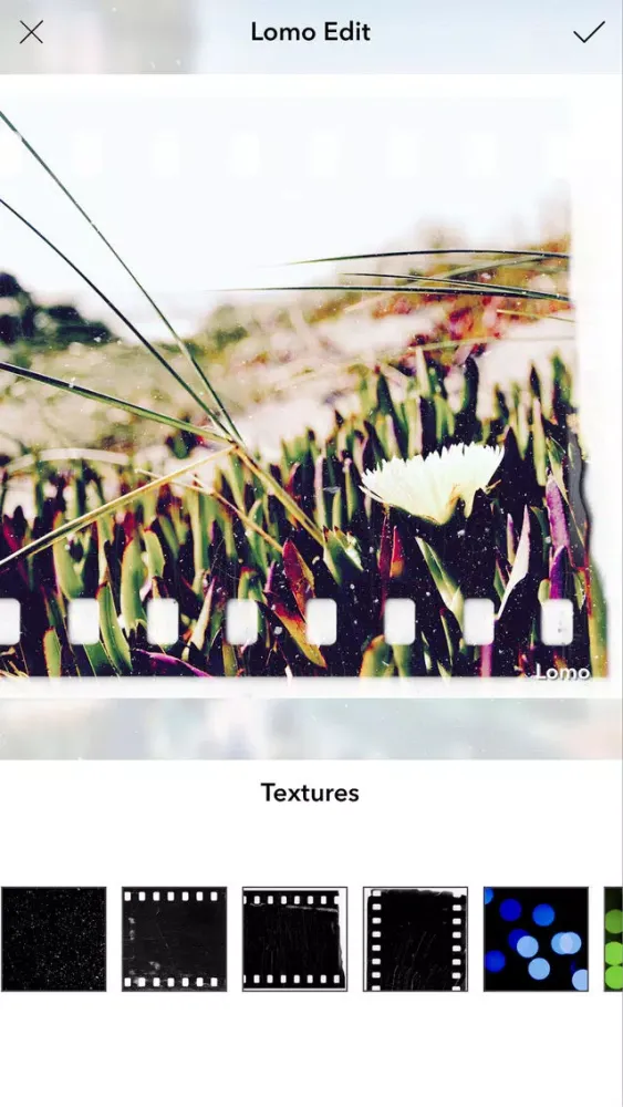 Lomo - Lomography Photo Editor স্ক্রিনশট