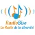 Radio Biso