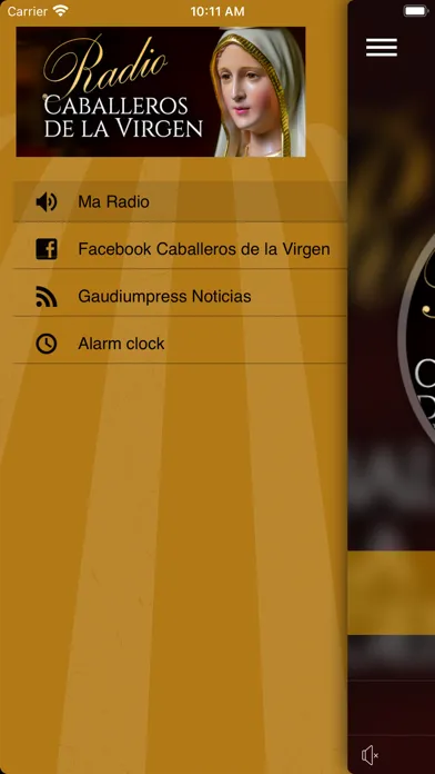 Zrzuty ekranu Radio Caballeros de la Virgen