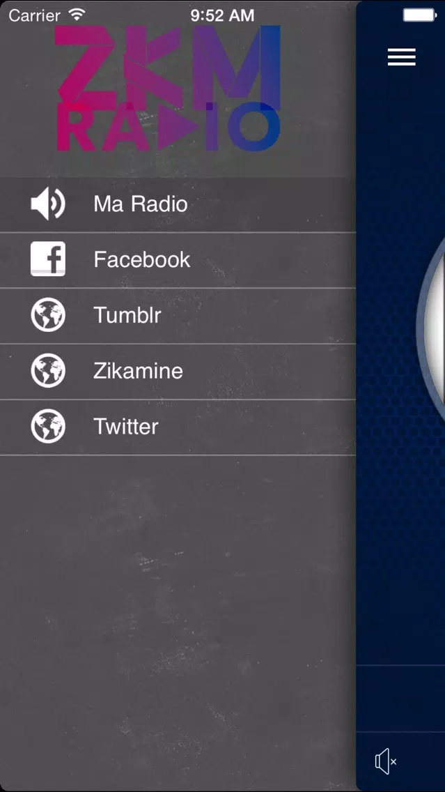 Скриншоты ZKM Radio