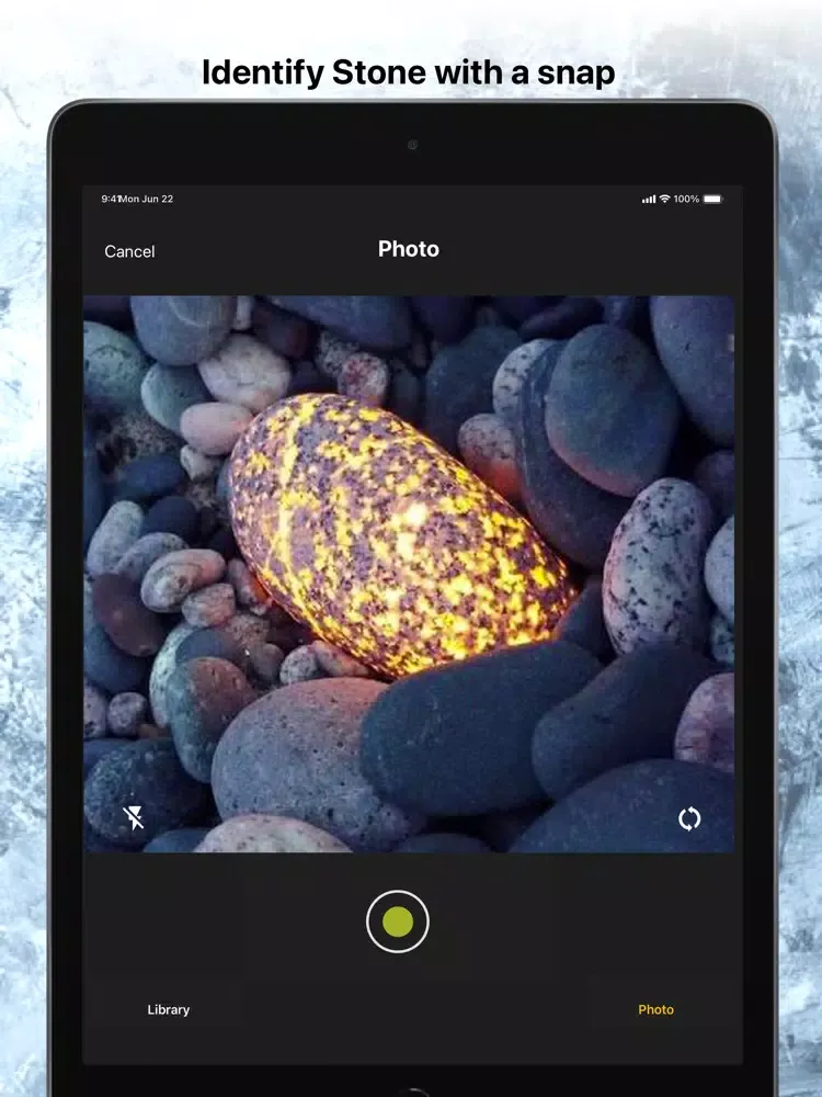 Rock Identifier Stone Scanner iPad  Screenshots