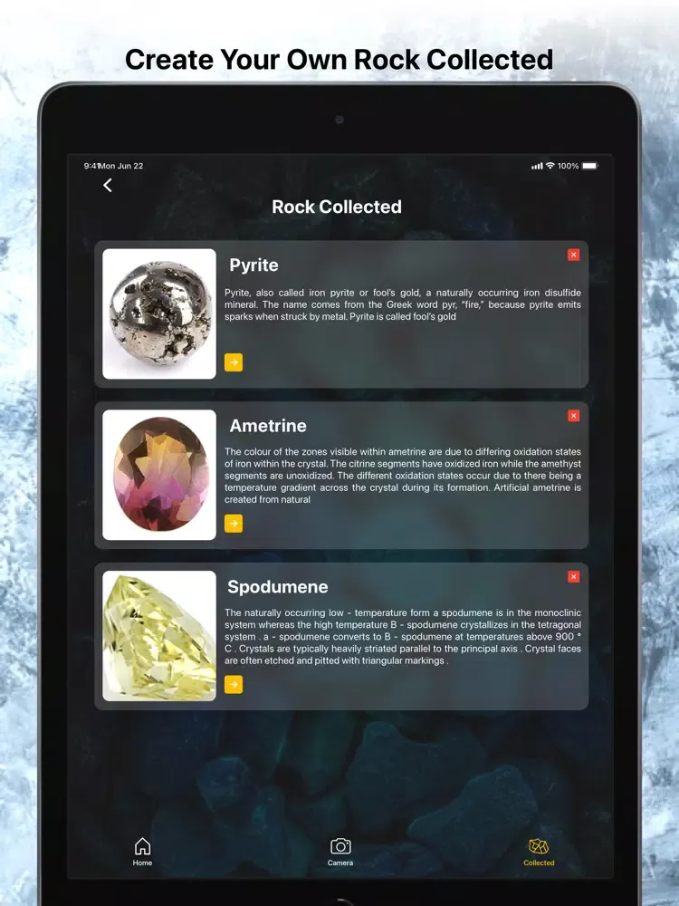 Rock Identifier Stone Scanner iPad  Screenshots