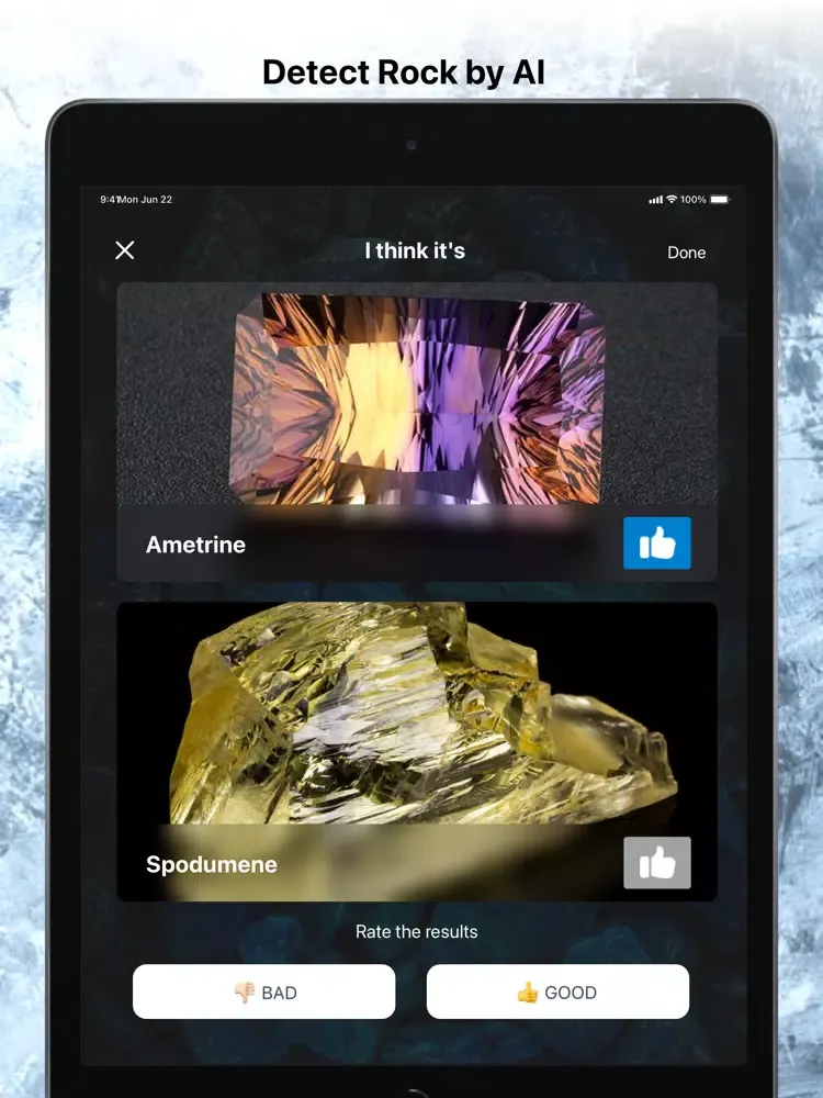 Rock Identifier Stone Scanner iPad  Screenshots