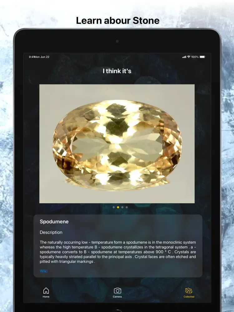 Rock Identifier Stone Scanner iPad  Screenshots