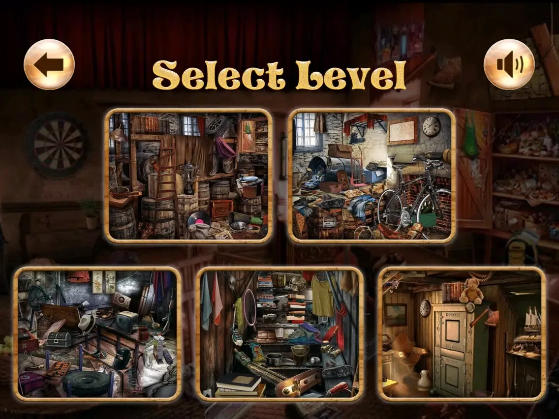 Detective Angelina Hidden Objects iPad 應用截圖