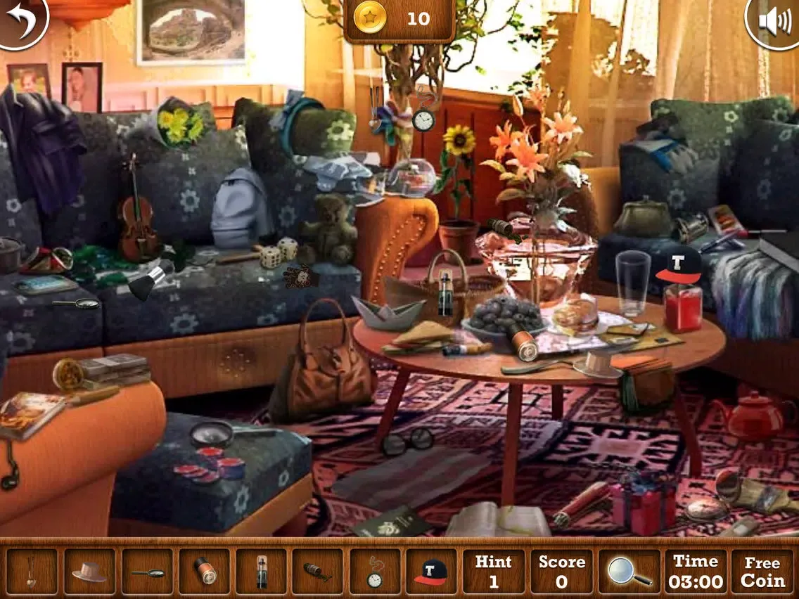 Haunted Mariya's Hotel Hidden Objects. iPad  스크린샷