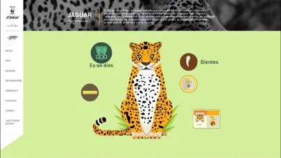 WWF-Telcel स्क्रीनशॉट
