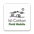 ID-Cotton Field
