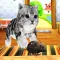 Kitten Cat VS Rat Runner Game