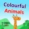 Colorful Animals :for Age 5+