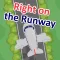 Right on the Runway