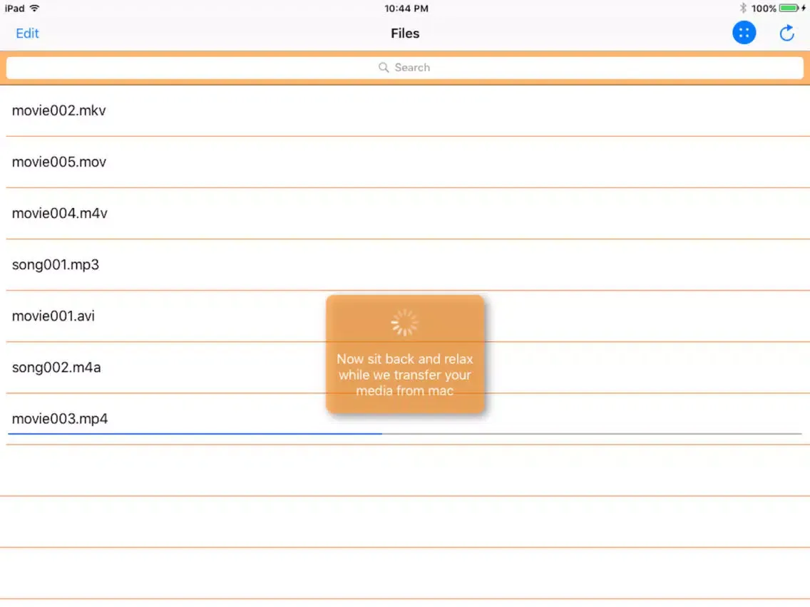 Capturas de tela do ezVideo - Free & Powerful Video Player Use Without Internet over Local Wifi iPad 
