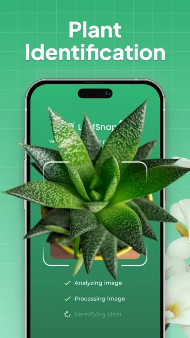 LeafSnap-Plant Identification Screenshots