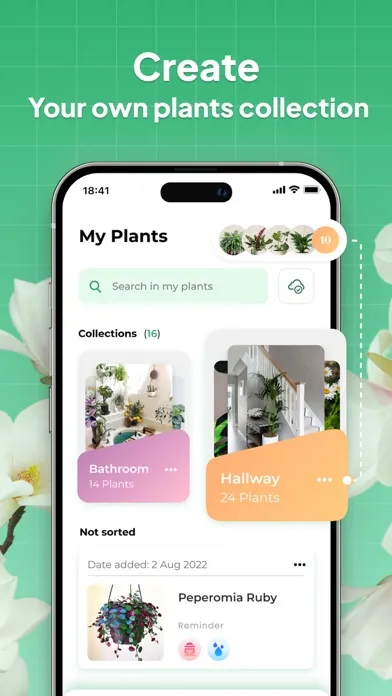 LeafSnap-Plant Identification Screenshots