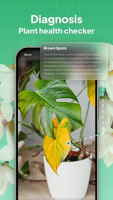 LeafSnap-Plant Identification Screenshots
